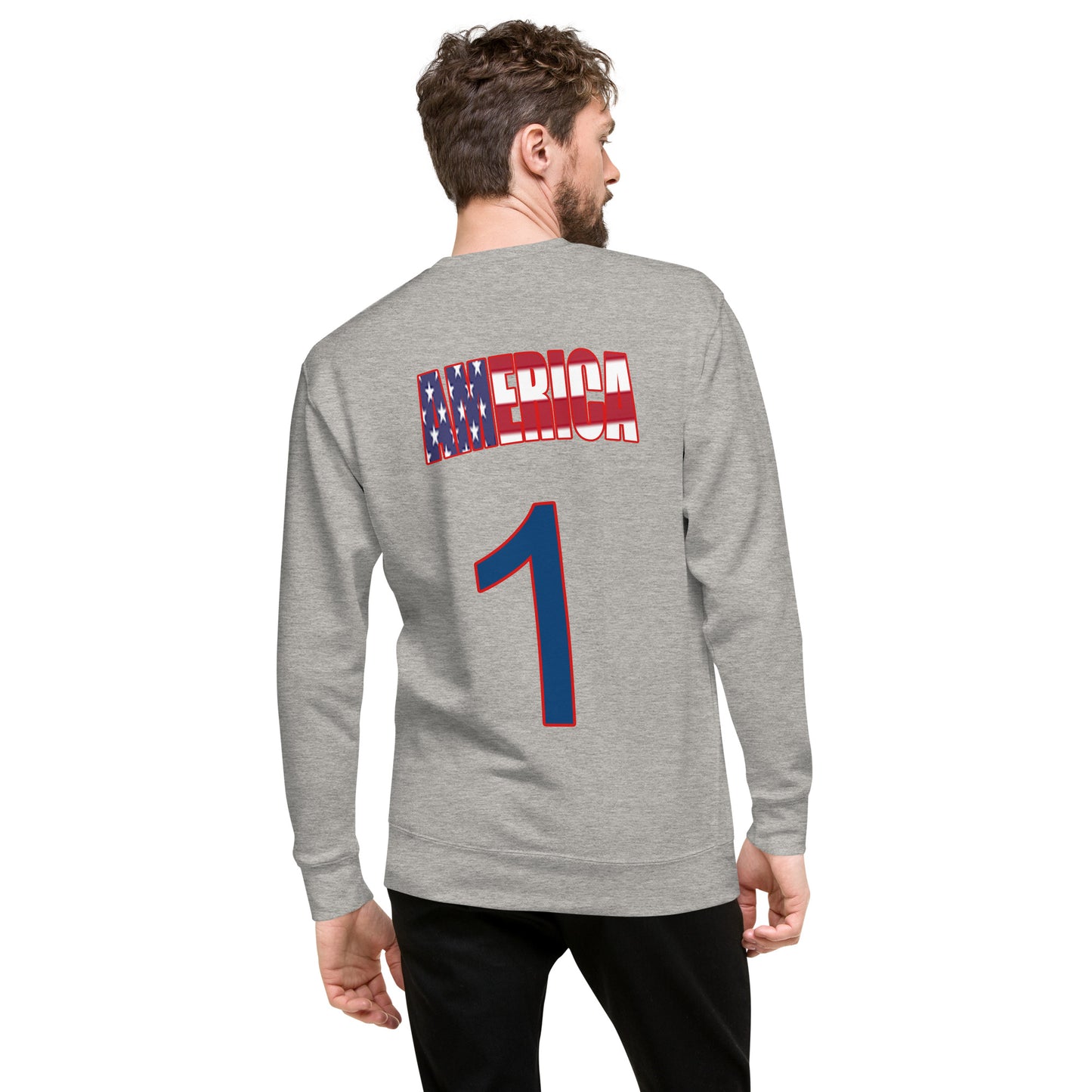 USA "One America" Unisex Premium Sweatshirt