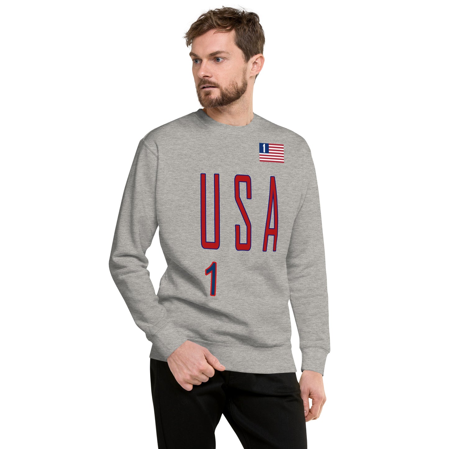 USA "One America" Unisex Premium Sweatshirt