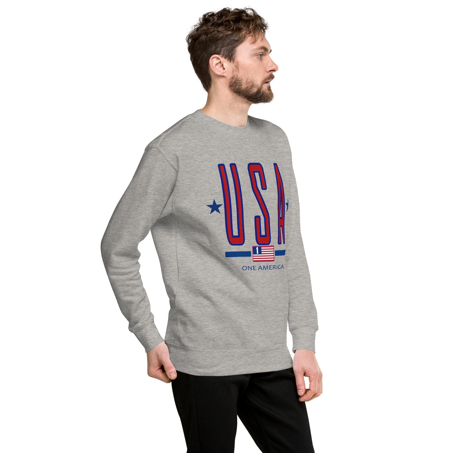 USA "One America" Unisex Premium Sweatshirt