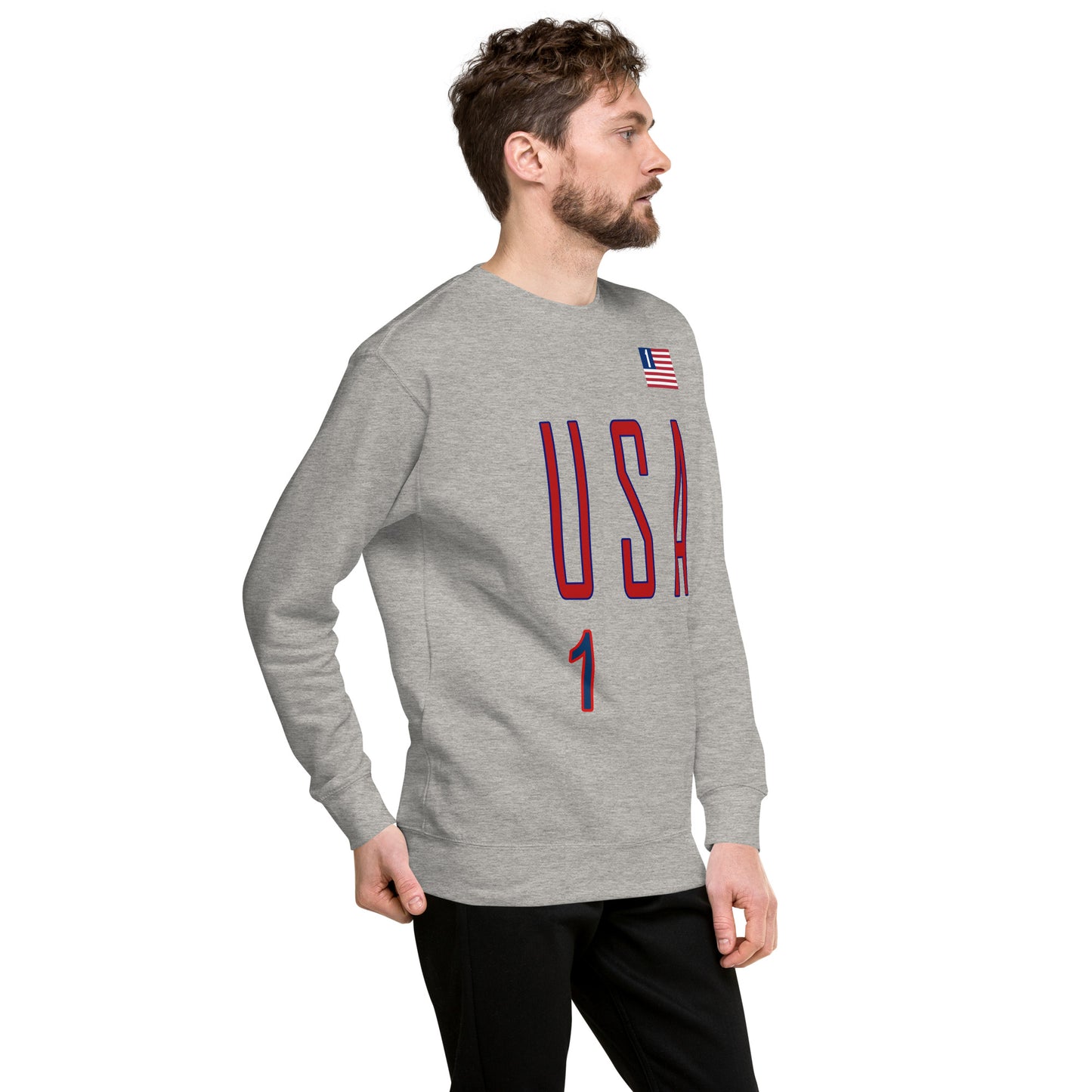 USA "One America" Unisex Premium Sweatshirt