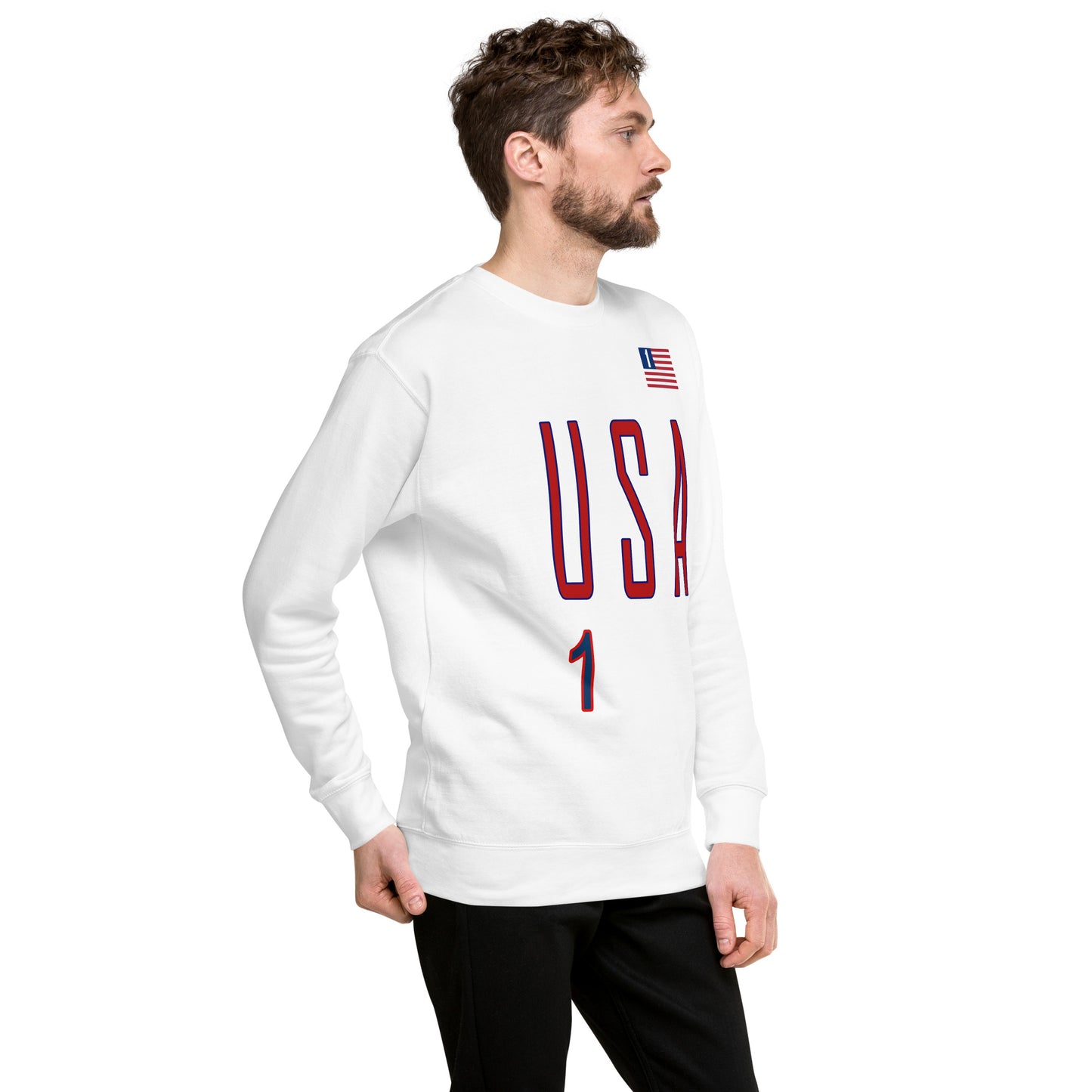 USA "One America" Unisex Premium Sweatshirt